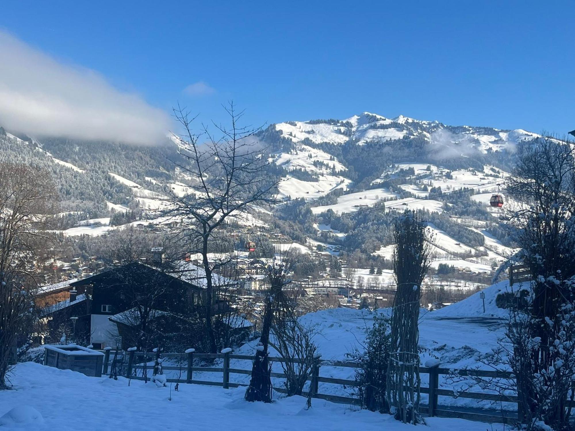 Haus Fini - In Out